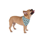 2026 Design Pet Bandana