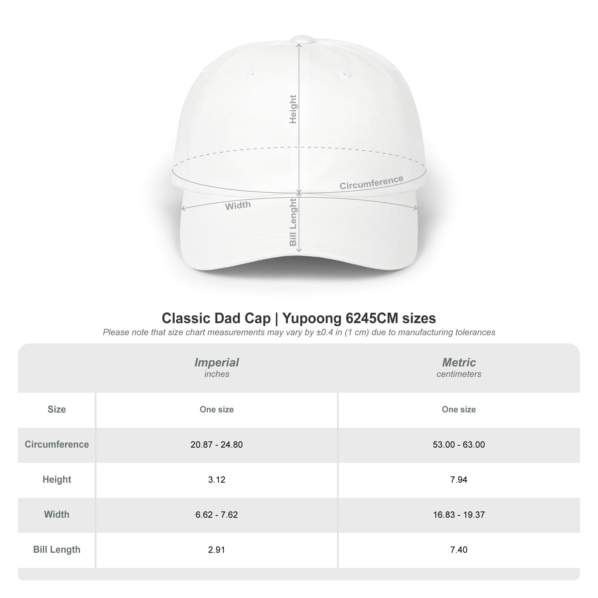 2026 Design Dad Cap